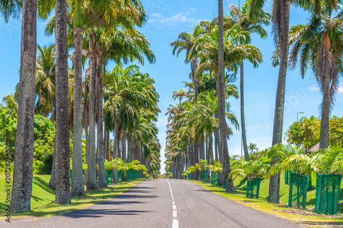 Allée Dumanoir dans la ville de Capesterre-Belle-Eau
en Guadeloupe à Basse-Terre, Antilles Françaises.