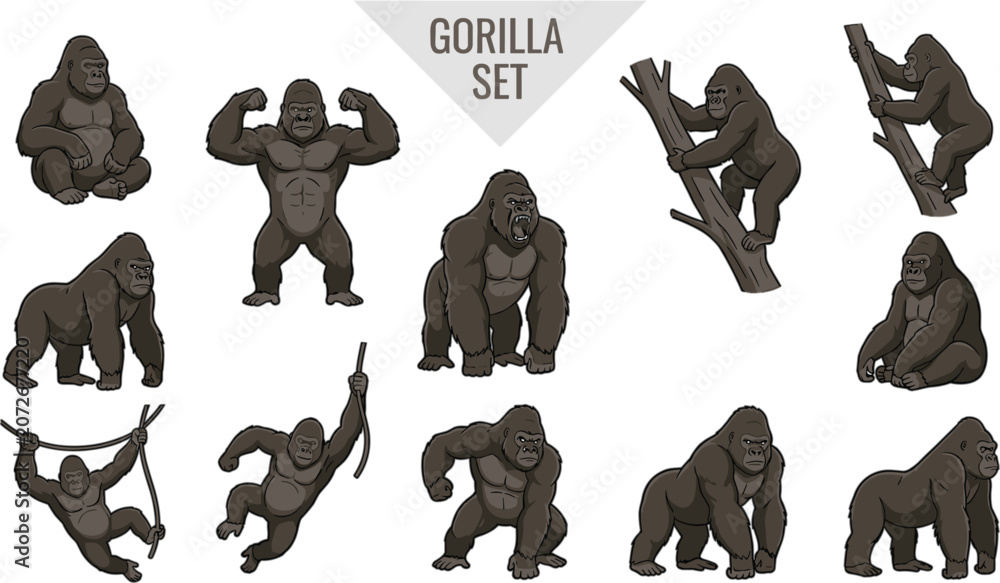 Fototapeta premium Gorilla character set vector illustration with strong silverback apes standing climbing swinging on vines and flexing muscles