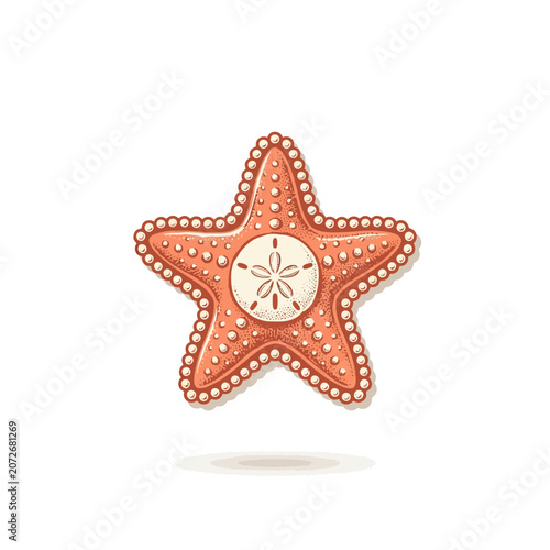 Coral Starfish With Sand Dollar Center And Decorative Dotted Pearl Border Emblem Design Vector Illustration