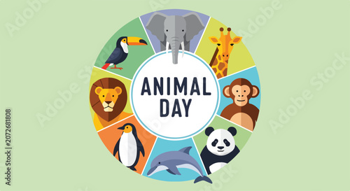 Photography Colorful illustration of various animals