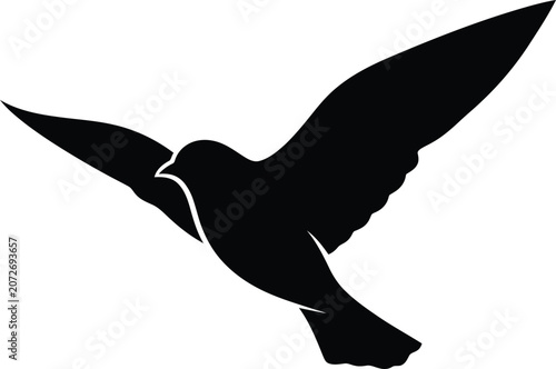 Black Bird Flying on White Background