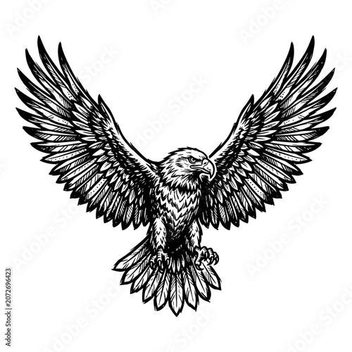 Majestic eagle with spread wings in sketch style, isolated on white.