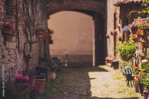 Charming alleyway adorned with blooming flowers in a quaint village bathed in warm afternoon sunlight