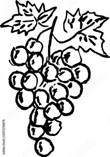 Hand Drawn Bunch of Grapes Vector Line Art