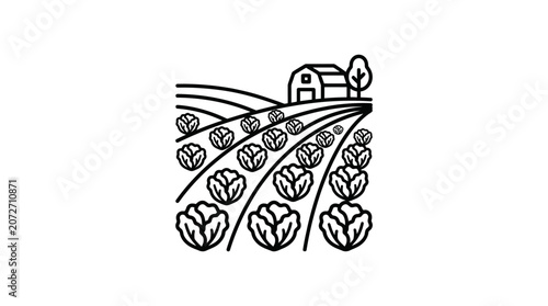 Line art illustration of cabbage rows on a farm.