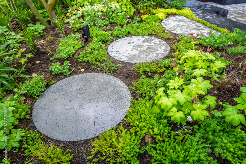 Lush garden path with stepping stones and vibrant green foliage