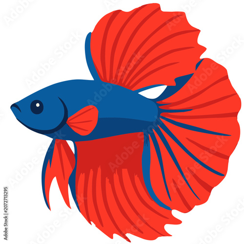 vector illustration of a betta fish