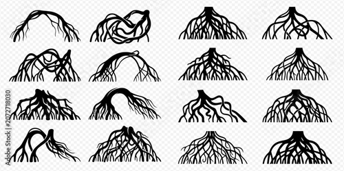 Bild auf Leinwand Set of various tree and plant root systems in black silhouette, isolated on a transparent background, depicting natural growth and underground structures