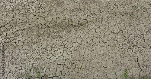 Dry Cracked Mud Texture Background with Natural Soil Pattern