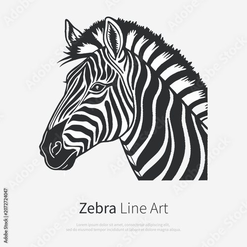 Zebra head, black and white isolated vector illustration in vintage engraving style.