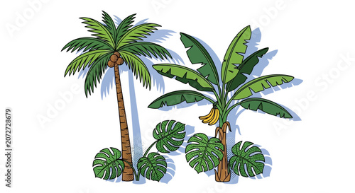 Tropical Palm Trees Illustration.