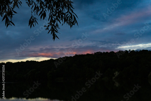 Cuadro en lienzo A fringe of leaves hangs into a brooding dusk sky above a dark ridge