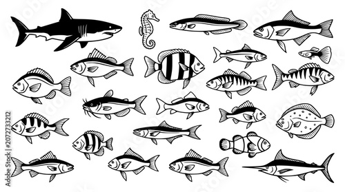 Foto Ocean sea fish and marine wildlife line art vector collection featuring shark se