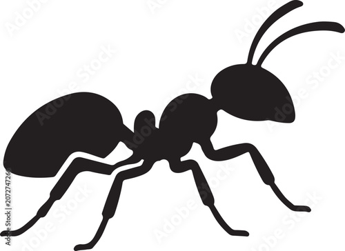 Ant Black Silhouette Insect Vector Illustration