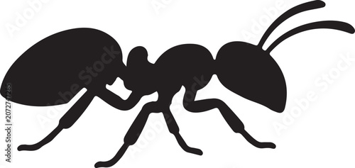 Ant Black Silhouette Insect Vector Illustration
