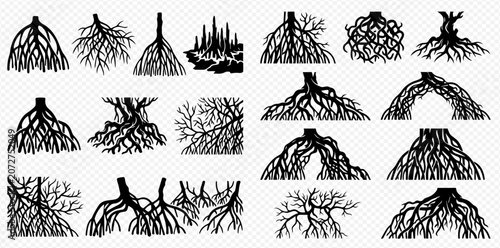 Obraz na płótnie Set of Tree Roots Silhouettes Isolated on Transparent Background, Hand Drawn Vector Illustration of Plant Underground Structures