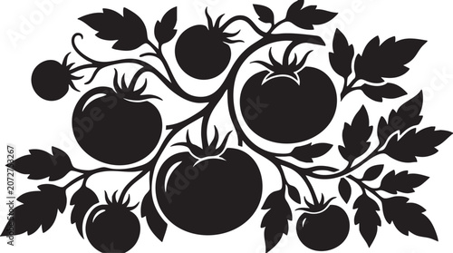Black silhouette of tomatoes on vine with leaves