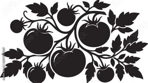 Fototapeta na wymiar Black silhouette of tomatoes on vine with leaves