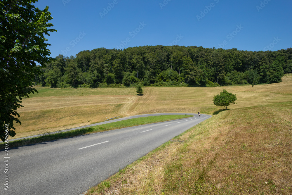 Fototapeta premium The beautiful landscape of the canton of Lucerne. Its well-kept nature with meadows and snakes and roads that cross it.