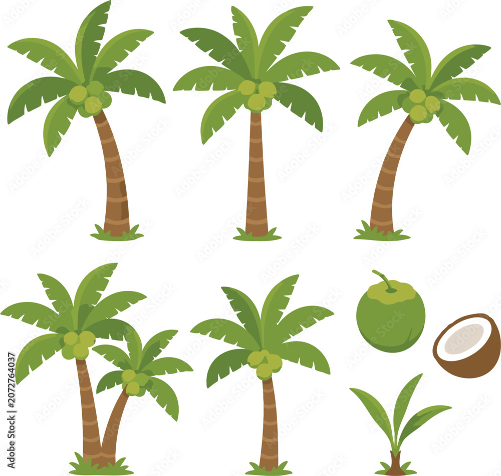 Naklejka premium Set of Coconut Trees Collection Vector Clipart