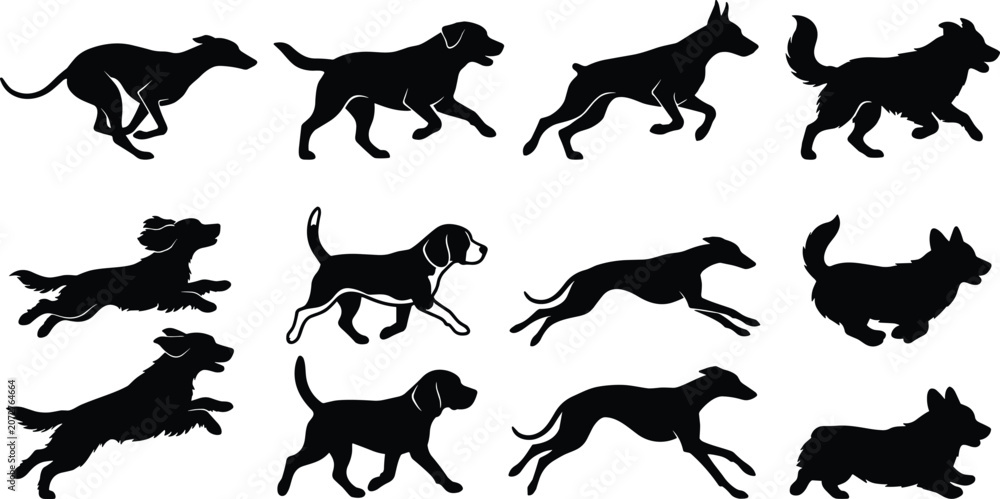 Fototapeta premium Black Silhouette Vector Set of Dogs Running, Walking, Sprinting, and Leaping in Motion