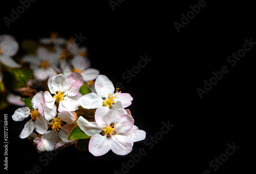 Candles and Flowers on a Dark Background for Remembering a Person or Occasion