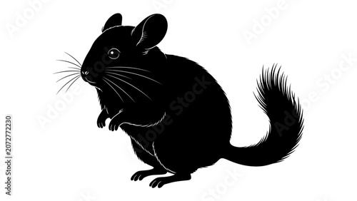 Fotografija Black Chinchilla Silhouette: A stylized black silhouette of a chinchilla, showcasing its distinctive features including large ears, bushy tail, and upright posture