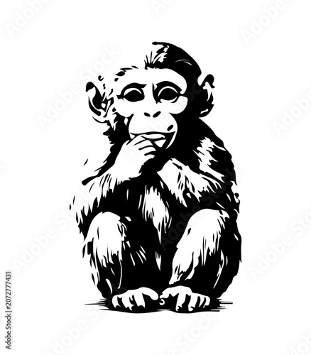 Photography Simple hand drawn little baby chimpanzee monkey sketch, engraved primate ape mammal animal illustration