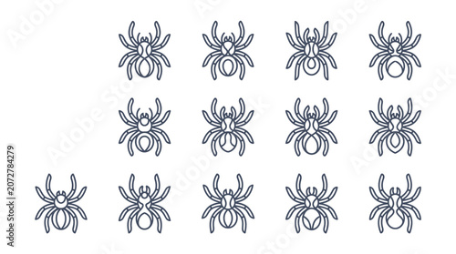 Group of black spiders crawling together.