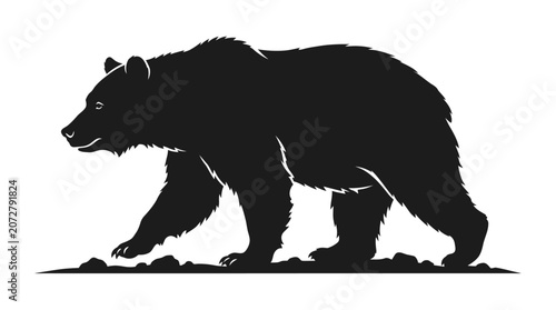 Cuadro en lienzo Black bear walking on ground.