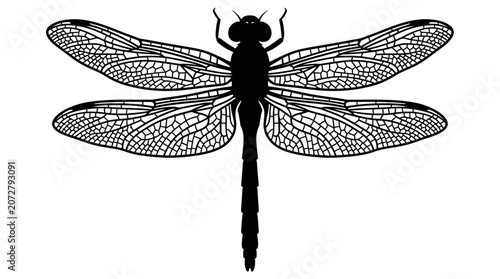 Black dragonfly with spread wings silhouette.