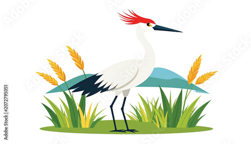 White Bird with Red Crest Standing.