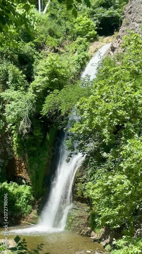 waterfall in the forest