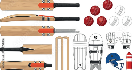 Obraz na plátně Vector professional cricket gear illustration kit featuring realistic wooden bat