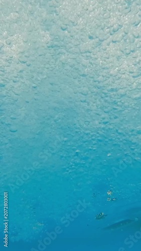Underwater background sea in stream with bubbles. Clean pure blue water flow in motion. Lake river sea ocean. Summer. Vertical shot