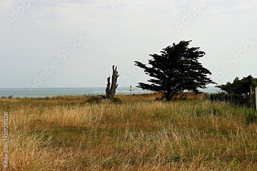paysage bord de l' océan
