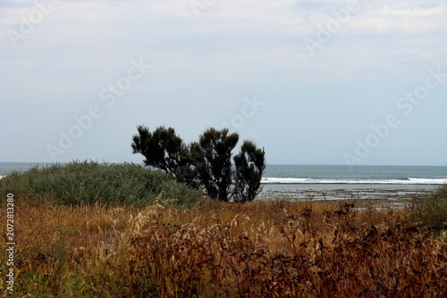 paysage bord de l' océan