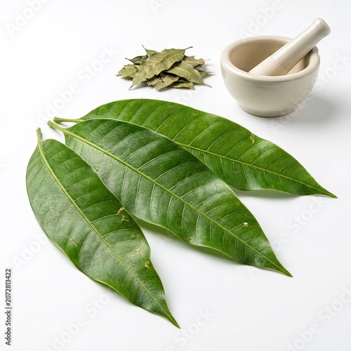 Fresh Green Mango Leaves with Dried Herb and Mortar on White Background for Natural Medicine Concept