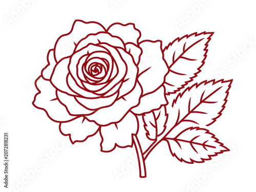Red rose outline drawing with transparent background