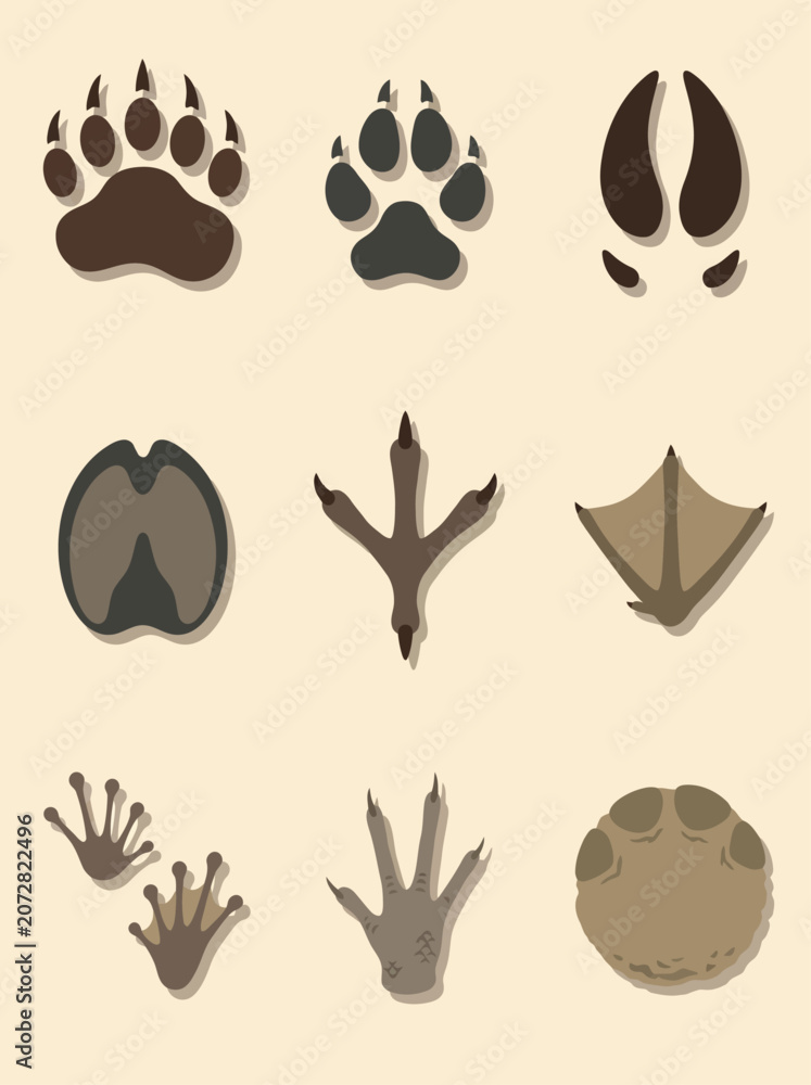 Fototapeta premium Collection of diverse animal paw prints and tracks, showcasing various wildlife footprints for identification