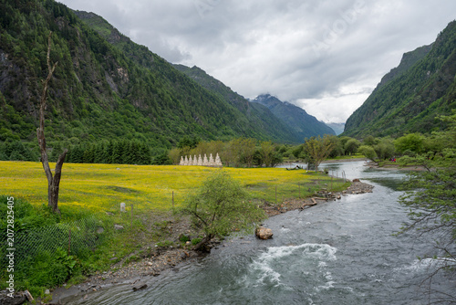The meadow filled with wildflowers in the valley