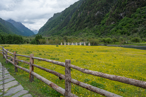 The meadow filled with wildflowers in the valley