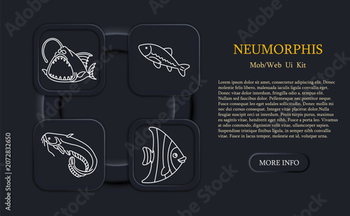 Photography Fish aquatic set icon