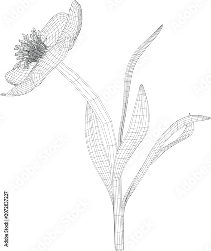 Geometric Daffodil Blossom Botanical Vector Design.