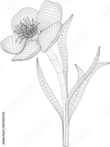 Geometric Orchid Blossom Mesh Structure Artwork