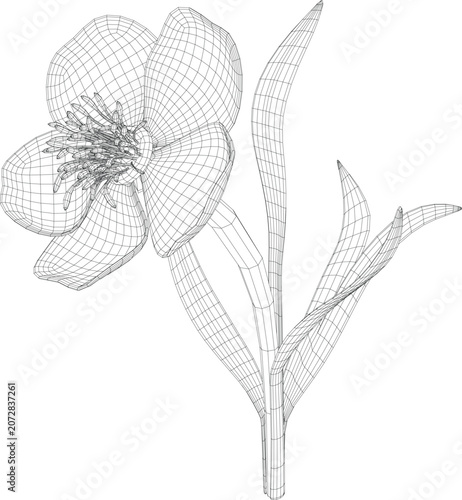 Wireframe Orchid Flower Illustration with Polygon Mesh Design.