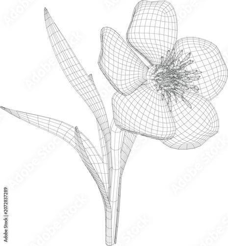 Geometric Wildflower Wireframe Illustration Vector Design.