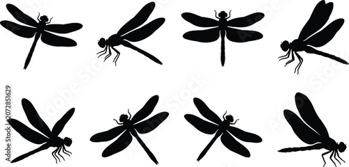 Bild auf Leinwand Black dragonfly silhouette set isolated on white background for graphic design a