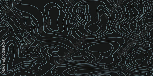 Canvas Print Minimalist topographic contour lines abstract texture with topographic abstract