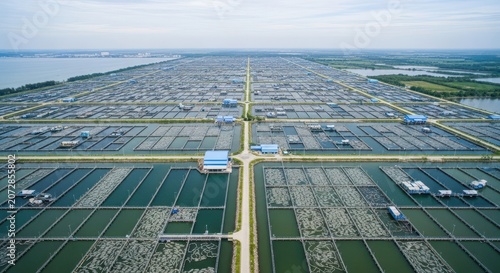 Expansive Industrial Shrimp Aquaculture Farm Facility Under a Cloudy Sky